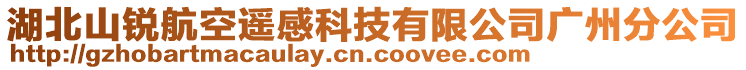 湖北山銳航空遙感科技有限公司廣州分公司