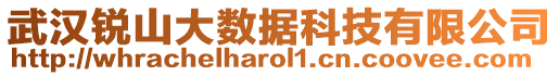 武漢銳山大數(shù)據(jù)科技有限公司