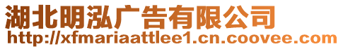 湖北明泓廣告有限公司