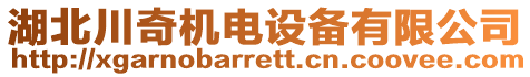 湖北川奇機電設(shè)備有限公司