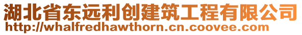 湖北省東遠(yuǎn)利創(chuàng)建筑工程有限公司