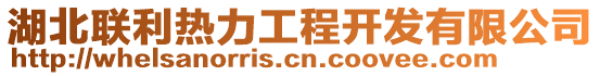 湖北聯(lián)利熱力工程開發(fā)有限公司