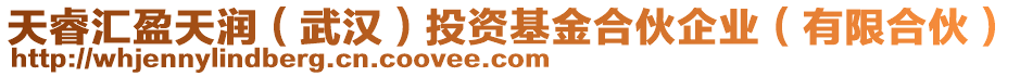 天睿匯盈天潤（武漢）投資基金合伙企業(yè)（有限合伙）