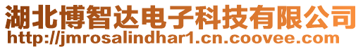 湖北博智達電子科技有限公司