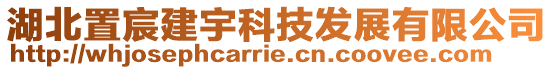 湖北置宸建宇科技發展有限公司
