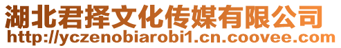 湖北君擇文化傳媒有限公司