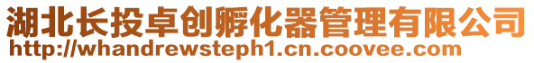 湖北長投卓創孵化器管理有限公司