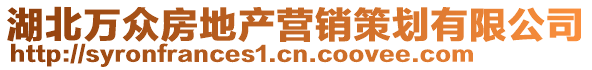 湖北萬(wàn)眾房地產(chǎn)營(yíng)銷(xiāo)策劃有限公司