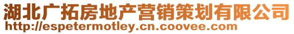 湖北廣拓房地產營銷策劃有限公司