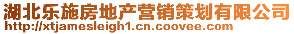 湖北樂施房地產營銷策劃有限公司