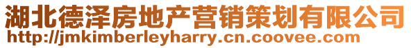 湖北德澤房地產營銷策劃有限公司