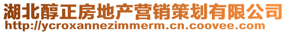 湖北醇正房地產營銷策劃有限公司