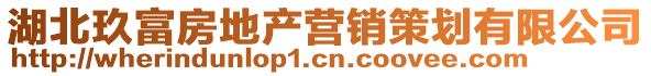 湖北玖富房地產(chǎn)營(yíng)銷策劃有限公司