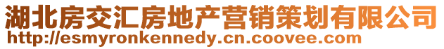 湖北房交匯房地產營銷策劃有限公司