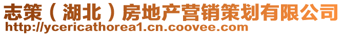 志策（湖北）房地產營銷策劃有限公司