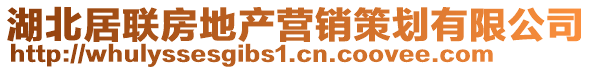 湖北居聯(lián)房地產(chǎn)營銷策劃有限公司