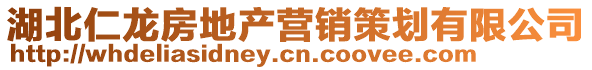 湖北仁龍房地產(chǎn)營銷策劃有限公司