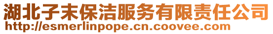 湖北子末保潔服務(wù)有限責(zé)任公司