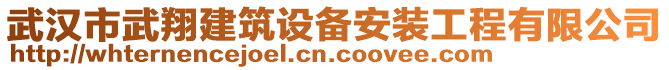 武漢市武翔建筑設(shè)備安裝工程有限公司