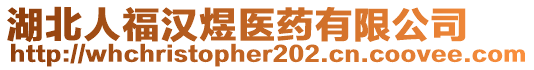 湖北人福漢煜醫(yī)藥有限公司