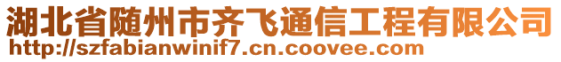 湖北省隨州市齊飛通信工程有限公司