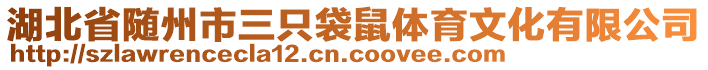 湖北省隨州市三只袋鼠體育文化有限公司