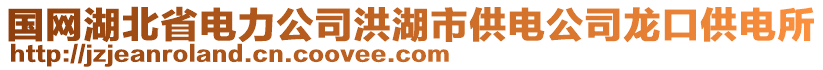 國網(wǎng)湖北省電力公司洪湖市供電公司龍口供電所