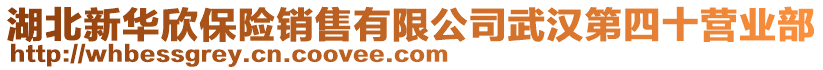 湖北新華欣保險銷售有限公司武漢第四十營業(yè)部