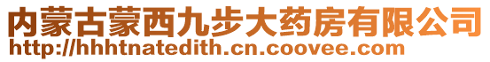 內(nèi)蒙古蒙西九步大藥房有限公司