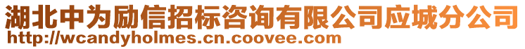 湖北中為勵(lì)信招標(biāo)咨詢(xún)有限公司應(yīng)城分公司