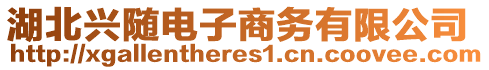 湖北興隨電子商務有限公司