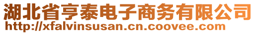 湖北省亨泰電子商務(wù)有限公司