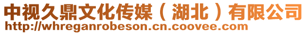 中視久鼎文化傳媒（湖北）有限公司