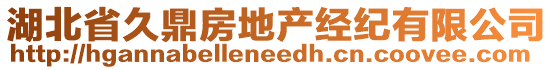 湖北省久鼎房地產(chǎn)經(jīng)紀(jì)有限公司