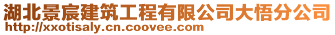 湖北景宸建筑工程有限公司大悟分公司