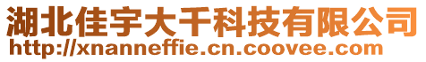 湖北佳宇大千科技有限公司