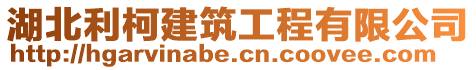 湖北利柯建筑工程有限公司