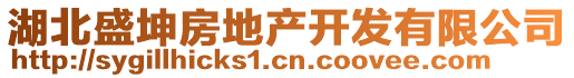 湖北盛坤房地產(chǎn)開(kāi)發(fā)有限公司