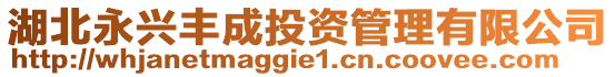 湖北永興豐成投資管理有限公司