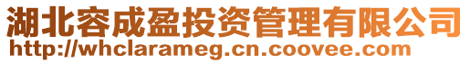 湖北容成盈投資管理有限公司