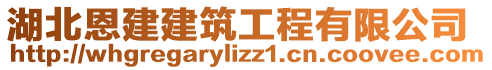 湖北恩建建筑工程有限公司