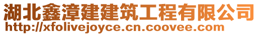 湖北鑫漳建建筑工程有限公司