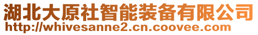 湖北大原社智能裝備有限公司