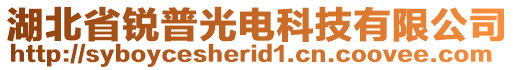 湖北省锐普光电科技有限公司