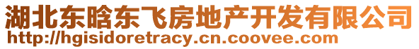 湖北東晗東飛房地產(chǎn)開(kāi)發(fā)有限公司