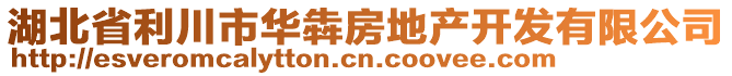 湖北省利川市華犇房地產(chǎn)開發(fā)有限公司