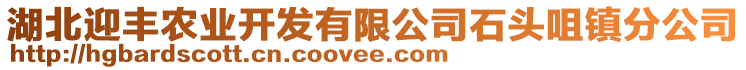 湖北迎丰农业开发有限公司石头咀镇分公司