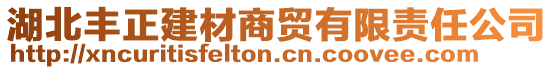 湖北豐正建材商貿(mào)有限責(zé)任公司