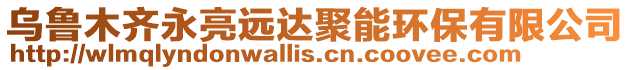 烏魯木齊永亮遠(yuǎn)達(dá)聚能環(huán)保有限公司
