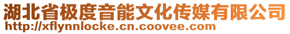 湖北省極度音能文化傳媒有限公司